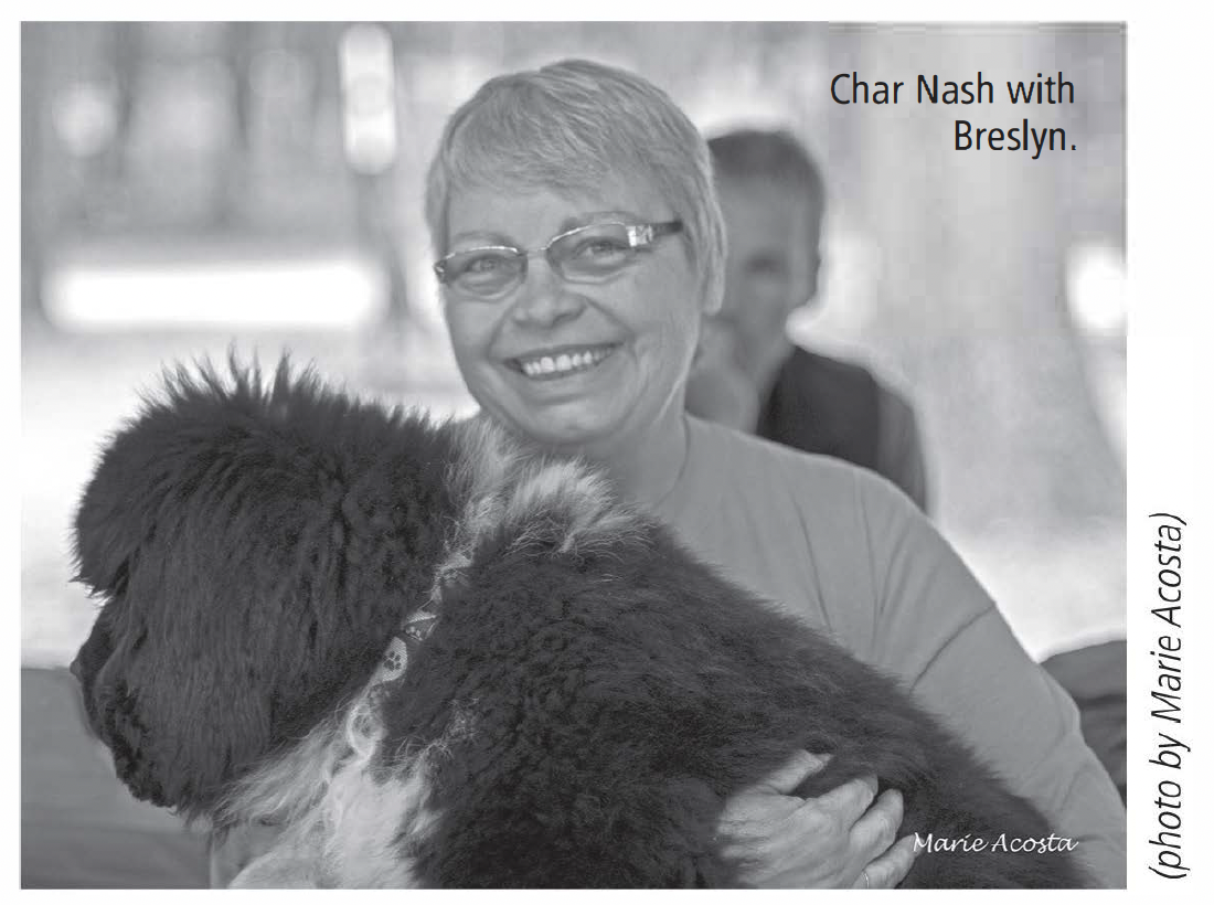 breslyn a newfoundland dog